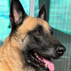 Meet your Posher, Beta